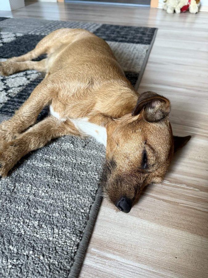 Max se nudí 22.03.2025