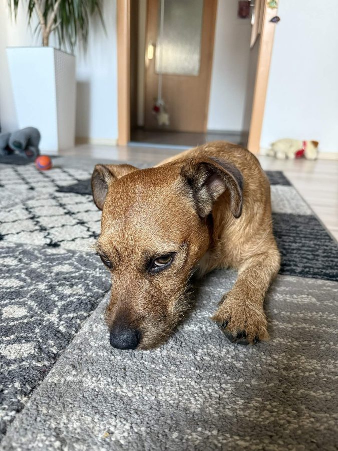 Max se nudí 22.03.2025