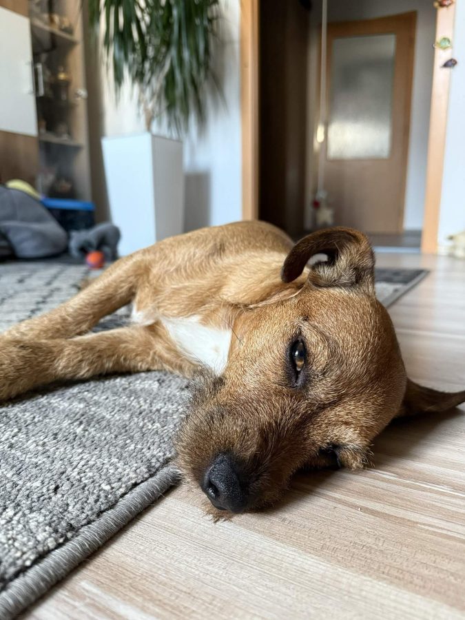 Max se nudí 22.03.2025