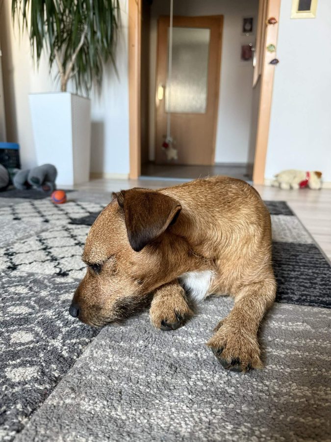 Max se nudí 22.03.2025