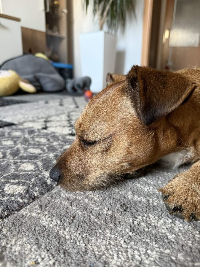 Max se nudí 22.03.2025