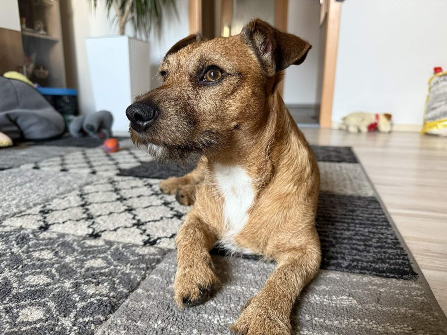 Max se nudí 22.03.2025